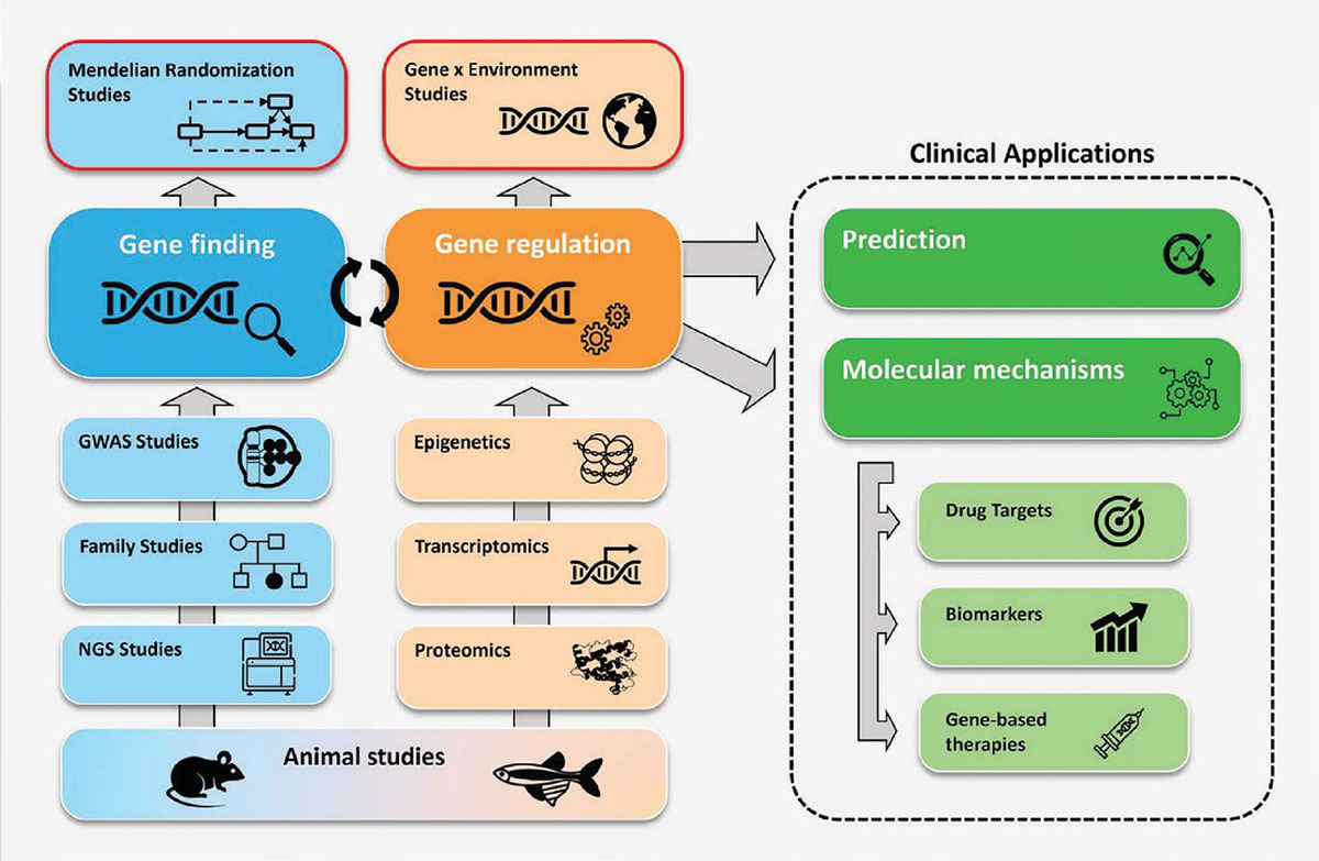 An overview of the current and ongoing myopia-related human genetic research.4