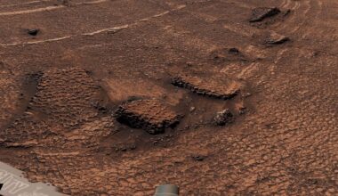 A Sea of Tiny Honeycomb Cracks on Mars Could Show How Water Hold Clues to Ancient Water