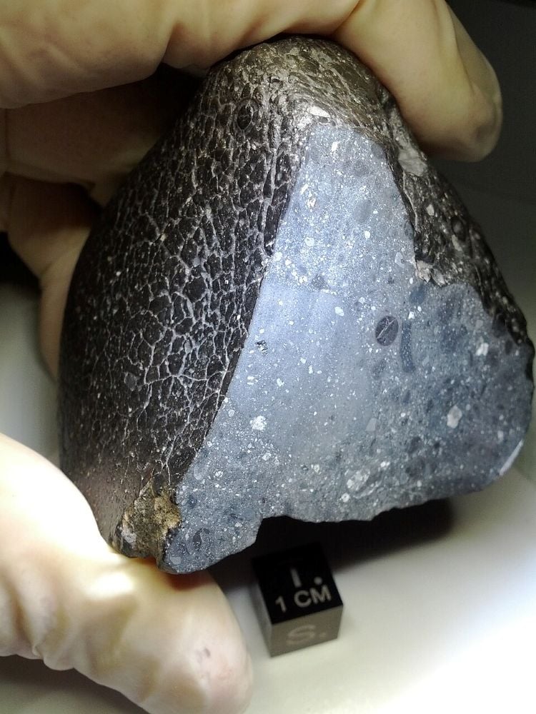 Meteorite Northwest Africa 7034 (NWA 7034) aka Black beauty. (Credit: NASA)