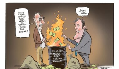 Rod Emmerson’s cartoons: Week of August 17-23
