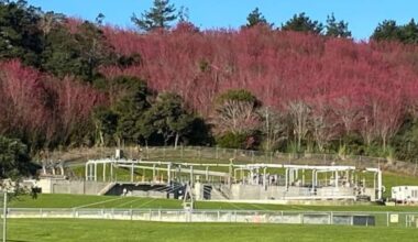 Alarm over plan to truck Auckland housing development’s wastewater north