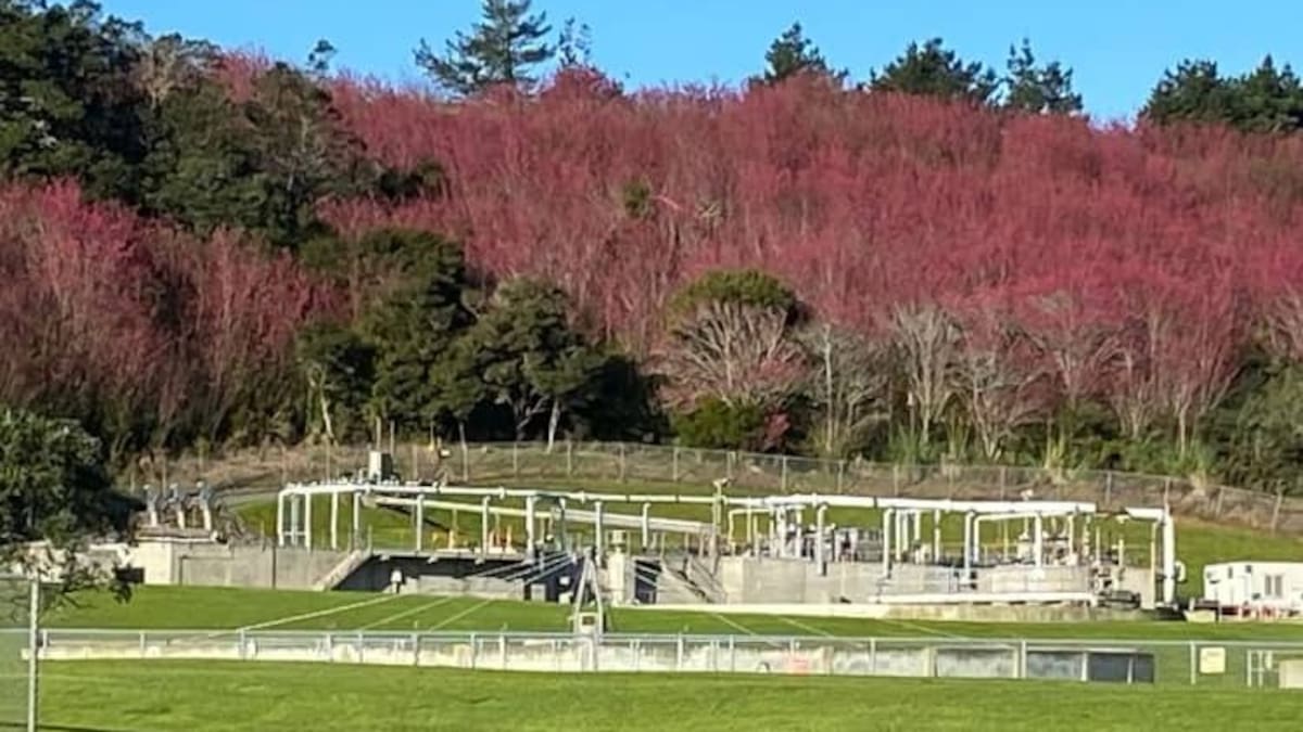Alarm over plan to truck Auckland housing development’s wastewater north
