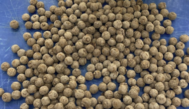 Arrests after opium parcels found bound for Tauranga