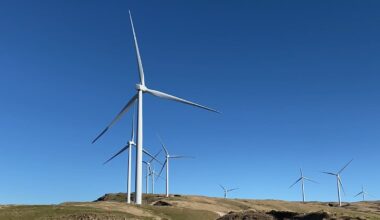 New Zealand energy stalemate: Waiting for demand is holding back the power network - Danielle Uniza