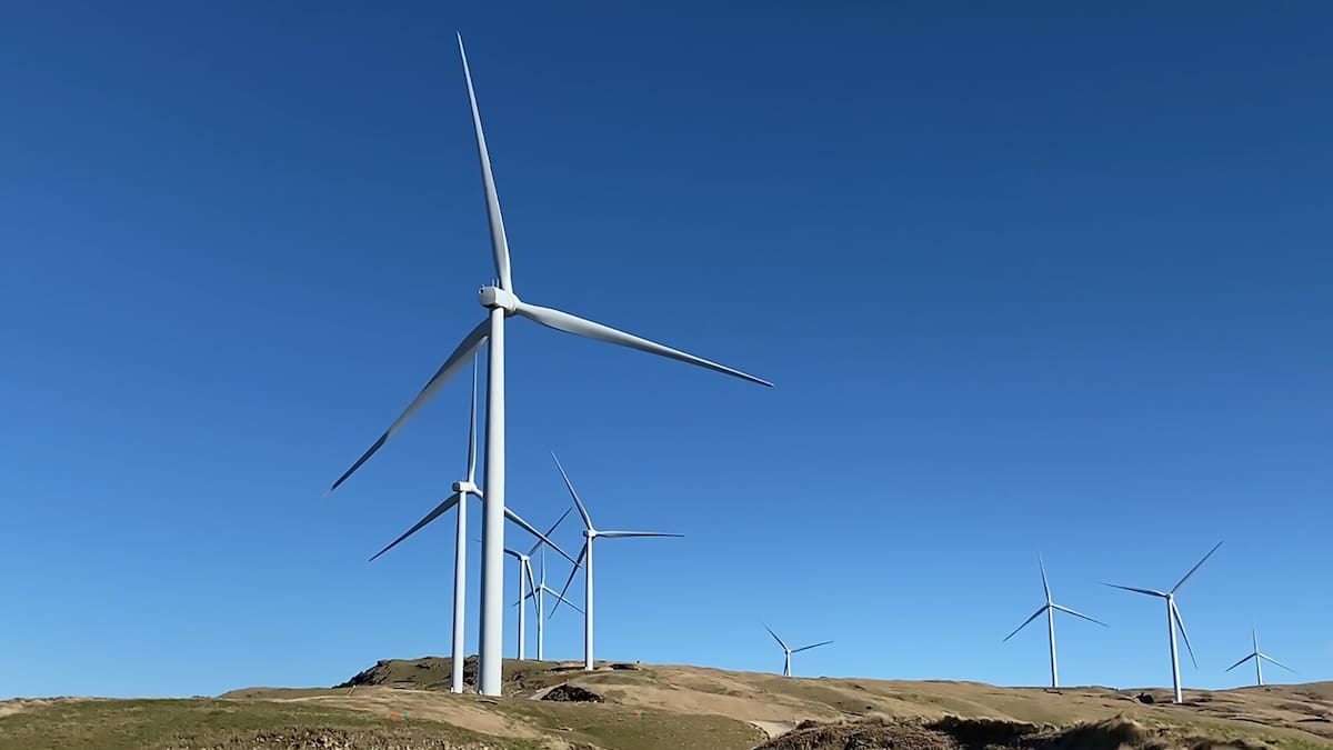 New Zealand energy stalemate: Waiting for demand is holding back the power network - Danielle Uniza