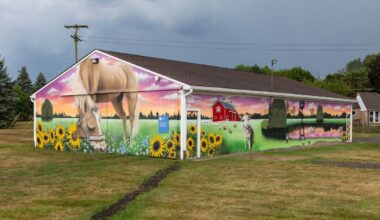 Detroit Institute of Art Unveils Neighhh-borly Display of Love