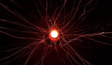 After 50 Years, Physicists Find Strong Evidence For What Really Holds Matter Together : ScienceAlert