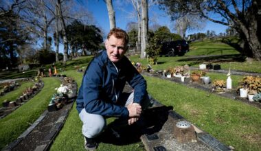 Let a sleeping dog lie: Family asks Purewa Cemetery to return concrete Labrador to father’s grave