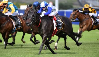 Elite races reduced as NZTR announce stakes cuts at top end