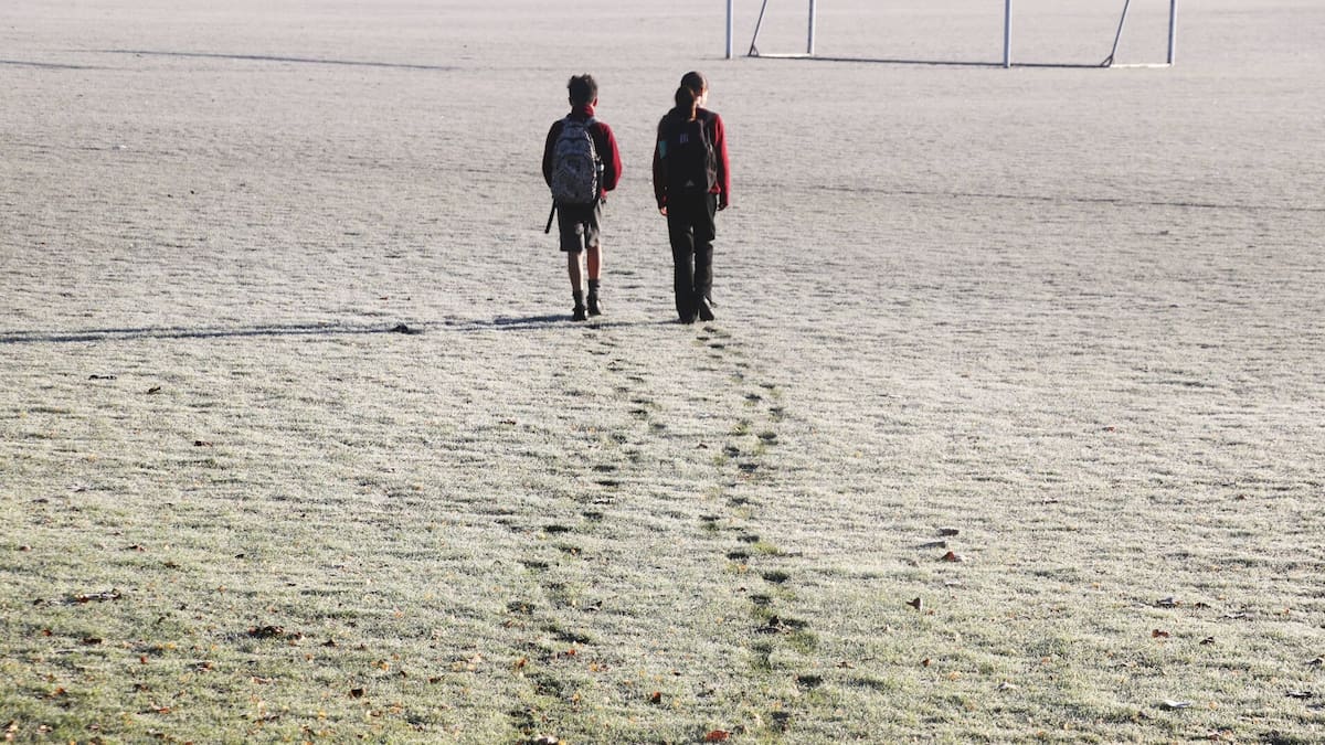 Snow closes Desert Road as cold southerly brings frosty start to week