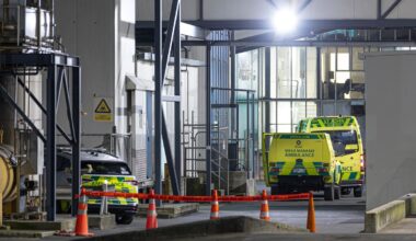 Person dies after being trapped in machine at Ōtāhuhu meat processing plant