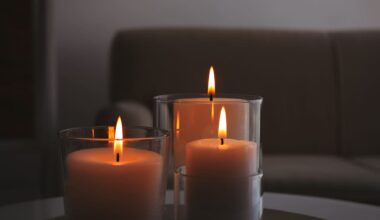 Unattended candles caused fatal New Plymouth house fire, coroner finds