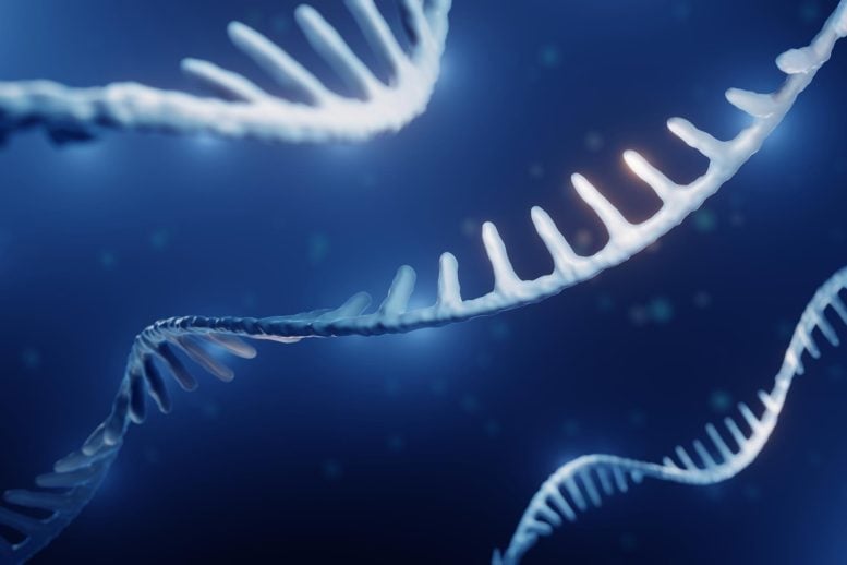 RNA Epigenetics