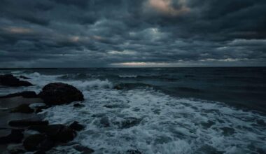 Researchers Revealed Why Parts Of The Ocean Can Suddenly Go Dark For Weeks At A Time