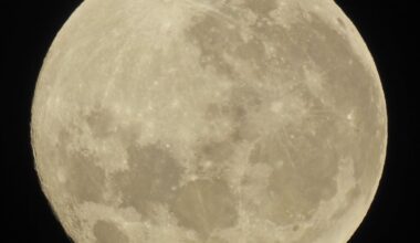 SpaceX unintentionally slams four-ton rocket stage onto moon surface