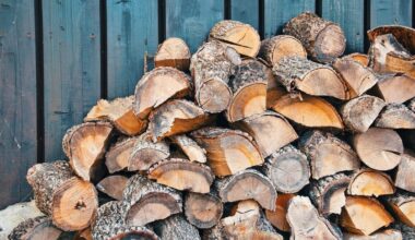 Speedy Firewood: Hawke’s Bay firewood company owned by young rapper liquidated