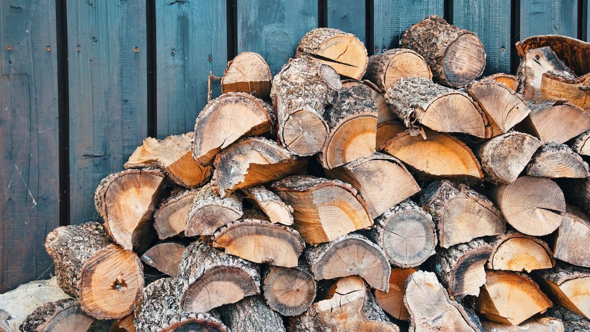 Speedy Firewood: Hawke’s Bay firewood company owned by young rapper liquidated