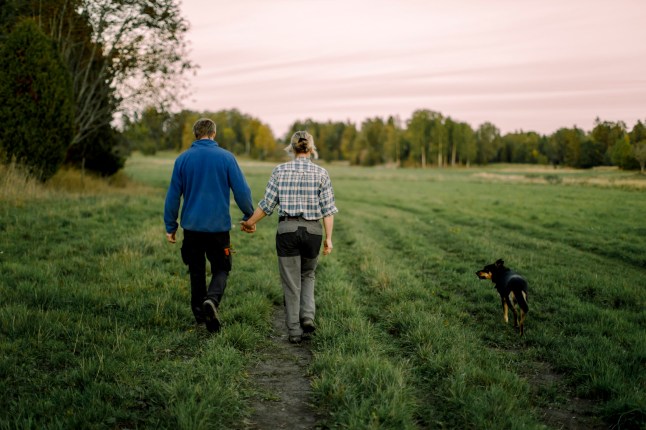 A couple walking their dog in a field of an evening.