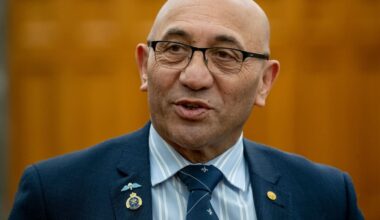Ron Mark fills the Stuart Nash-shaped hole in NZ First - Adam Pearse