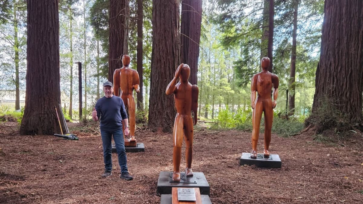 Walk in the Redwoods sculpture returns to Rotorua forest