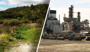 ‘We’re being robbed of our whanaunga’: Sawmill whānau seek justice – Te Ao Māori News