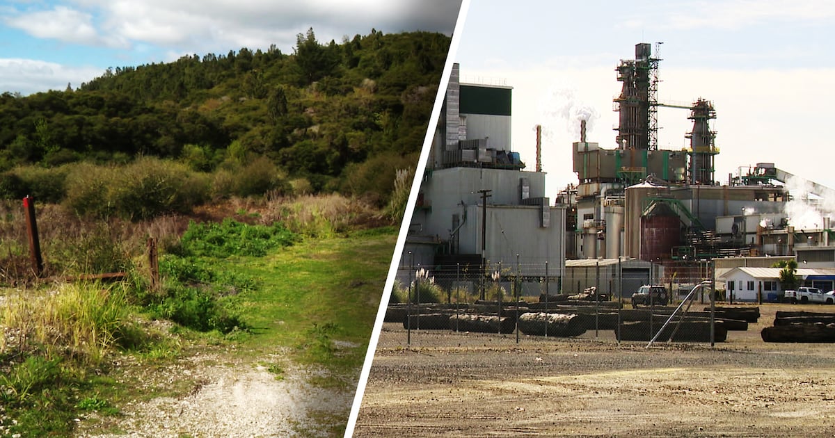 ‘We’re being robbed of our whanaunga’: Sawmill whānau seek justice – Te Ao Māori News