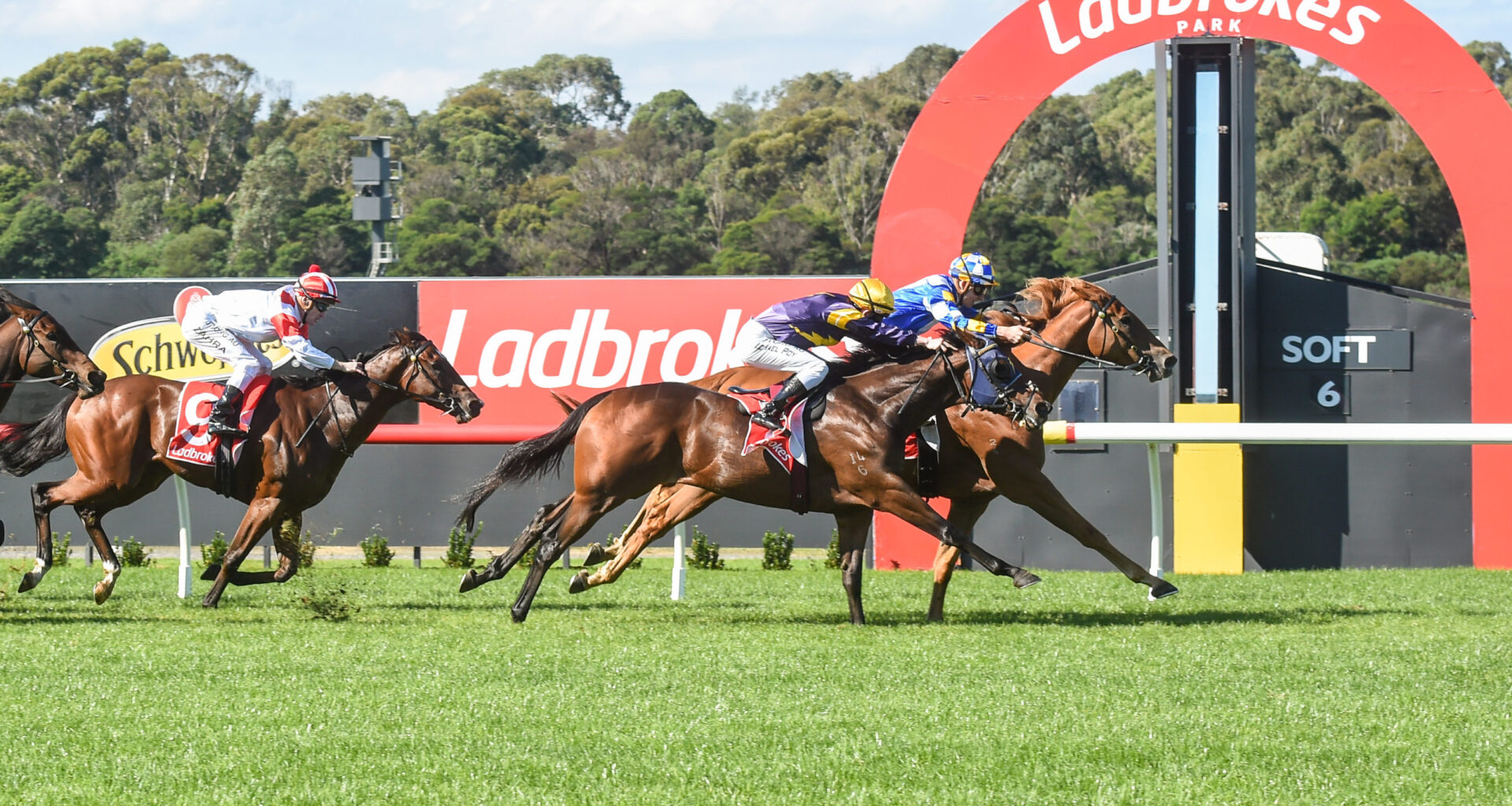 2/8/2026 Horse Racing Tips and Best Bets – Sandown, Grand National Hurdle day