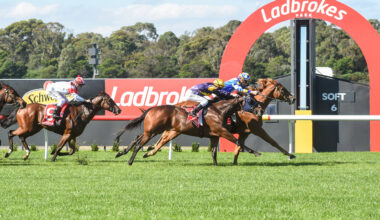 2/8/2026 Horse Racing Tips and Best Bets – Sandown, Grand National Hurdle day