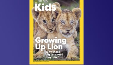 National Geographic Kids Logo - Home