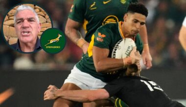 Nick Mallett pins Springboks defeat on duo who weren't 'good enough'