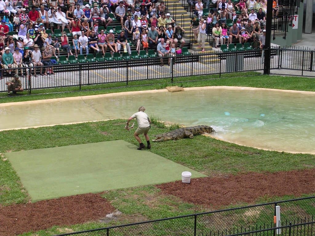 Steve Irwin feeding a crocodile at the Crocoseum, Australia Zoo in 2003