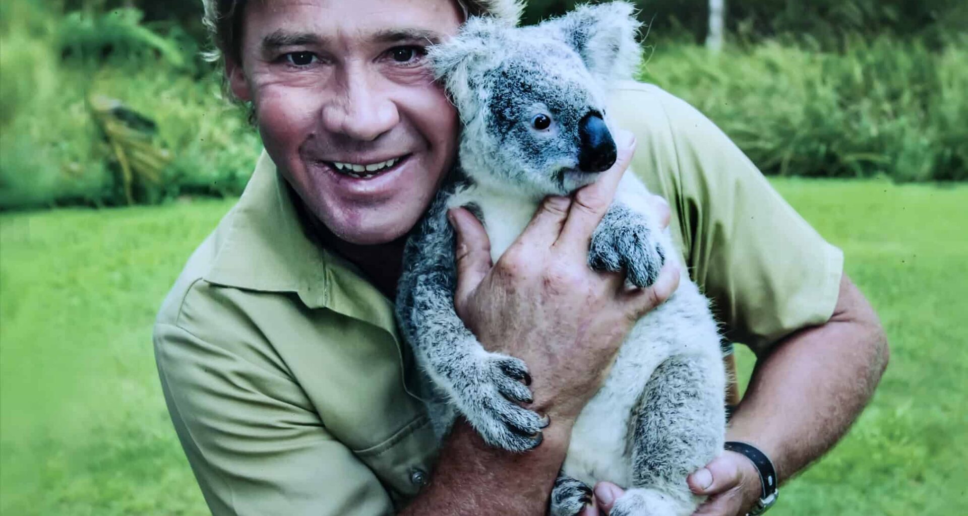 Steve Irwin holding a Koala at the zoo in Australia.