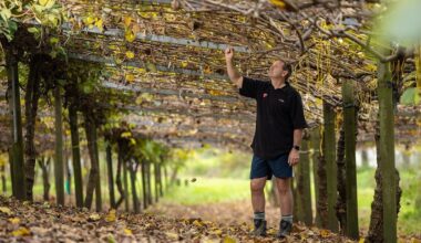 Te Puke orchardist Simon Cook reflects on Psa and future biosecurity risks