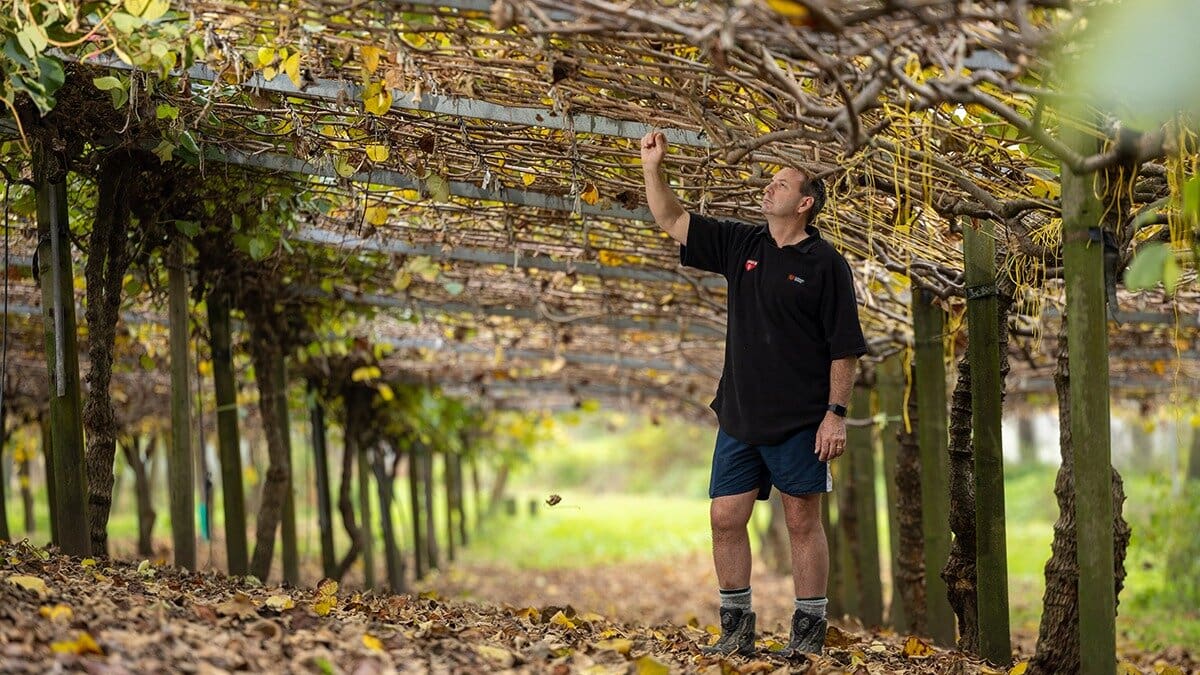 Te Puke orchardist Simon Cook reflects on Psa and future biosecurity risks