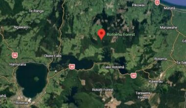 Police investigate death of Harry Burlace after Pongakawa incident