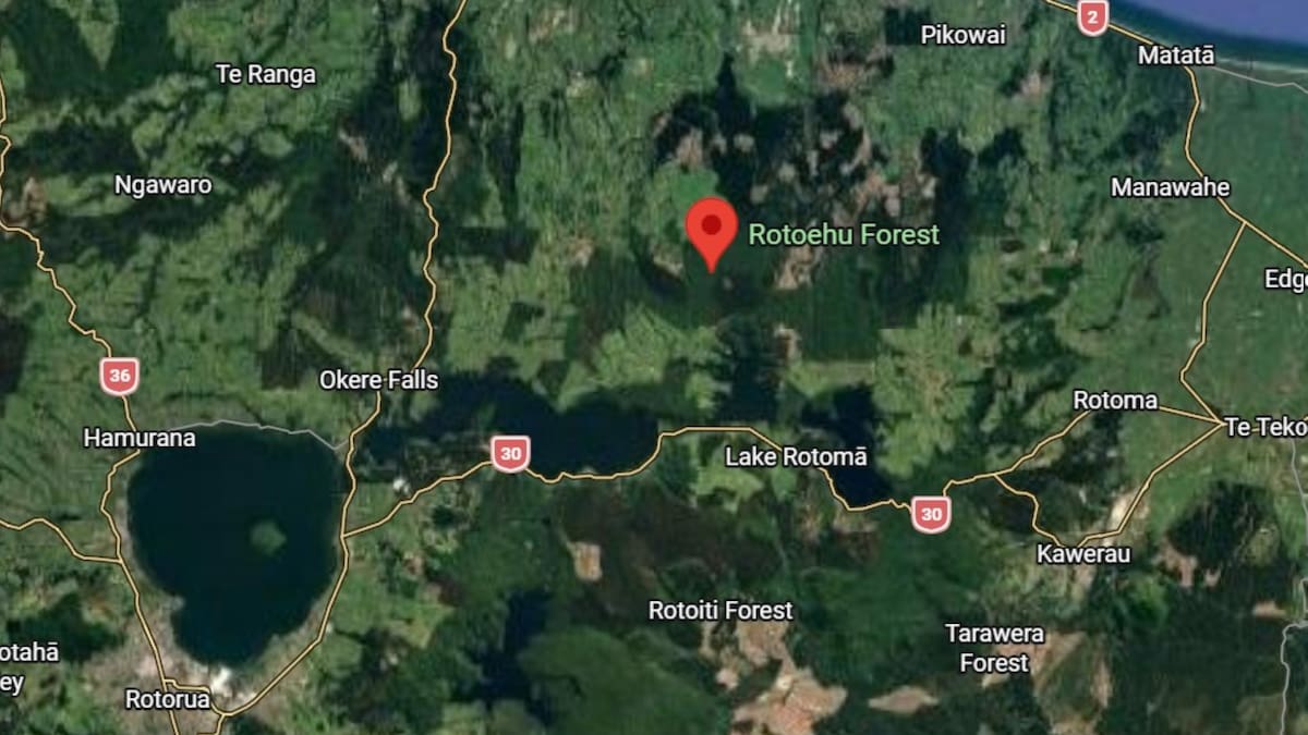 Police investigate death of Harry Burlace after Pongakawa incident