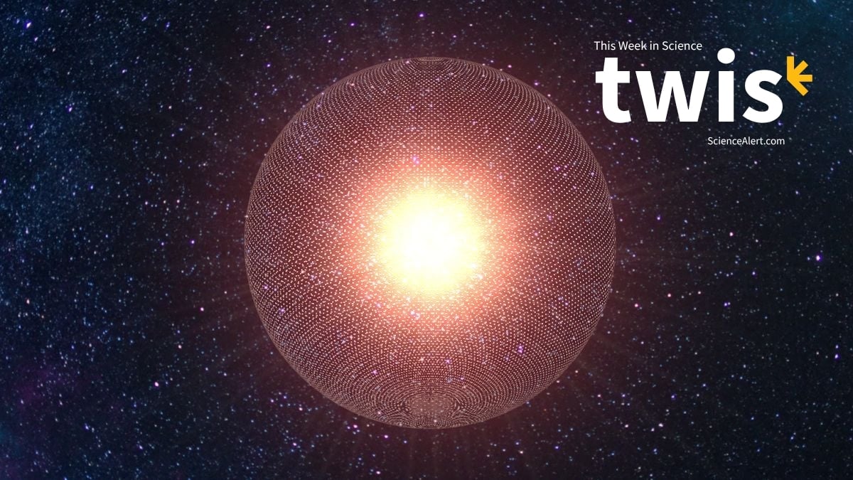This Week in Science: Dyson Spheres, Hidden Amazon Structures, And More : ScienceAlert