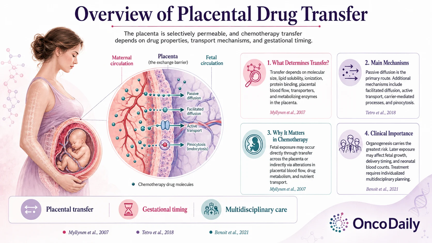 Placenta