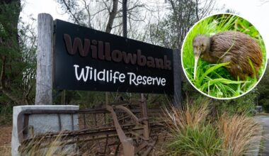 Willowbank Wildlife Reserve raises concerns over 230-home Christchurch plan