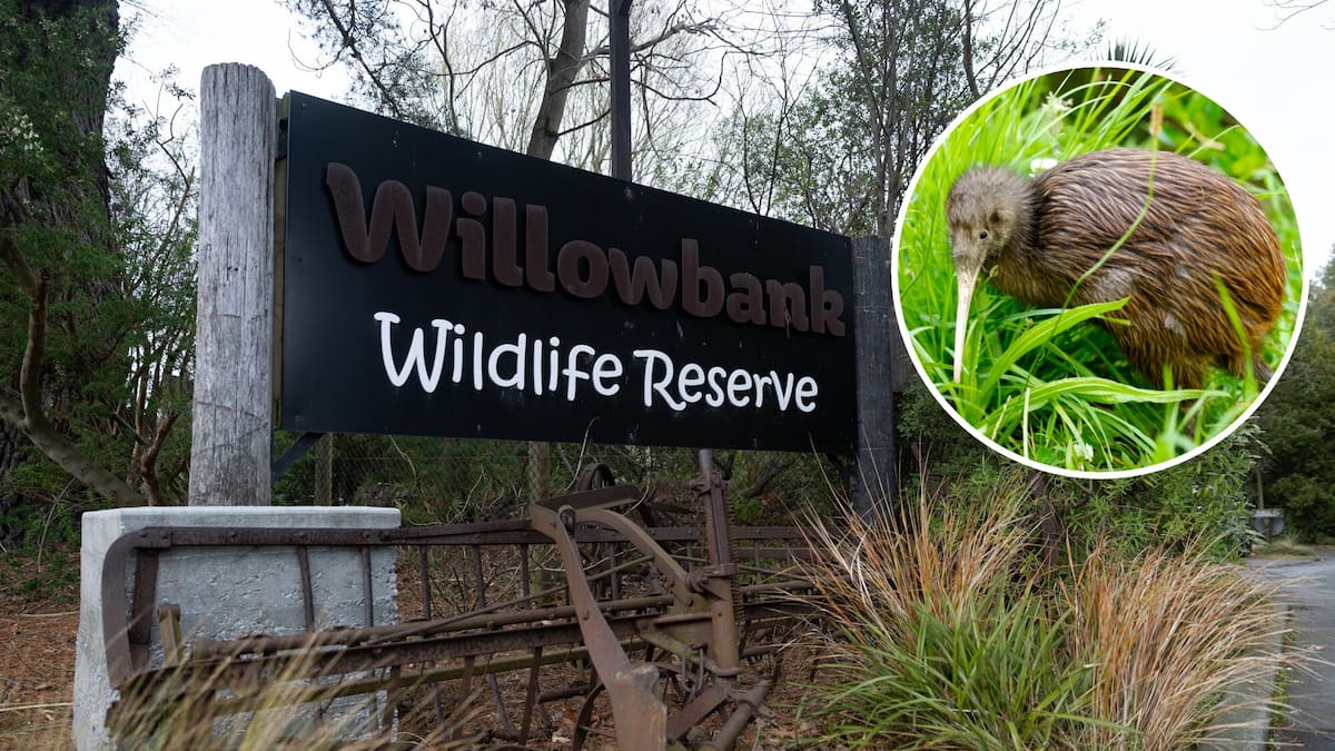 Willowbank Wildlife Reserve raises concerns over 230-home Christchurch plan