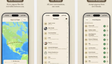 Carrier Pidge messaging app says 'waiting is the point'