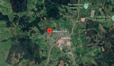Kaikohe aggravated robbery: Woman, child seriously assaulted, man arrested