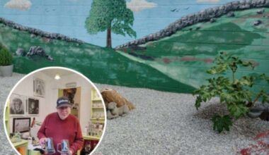 Owner of Art on Glass in Newark paints Sycamore Gap Tree-inspired mural at his home in Coddington