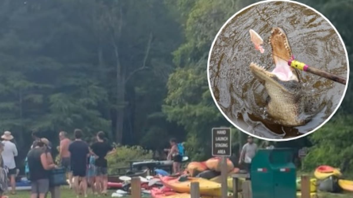 Woman loses right arm after alligator attack in Florida river