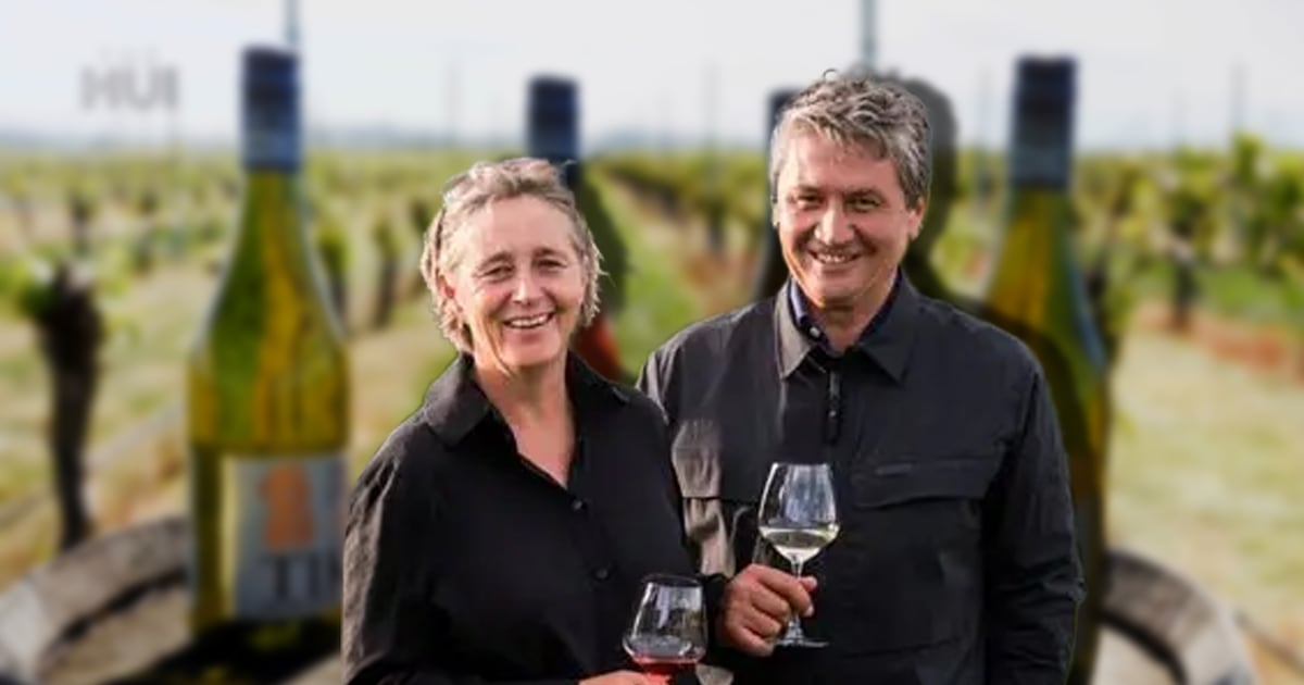 Kaitiakitanga guides Tiki Wine to international recognition – Te Ao Māori News