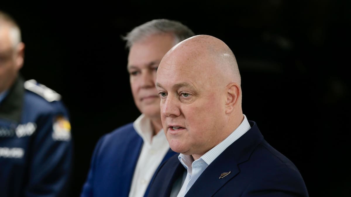 Christopher Luxon leadership: National caucus coup attempt overshadows election issues - Bruce Cotterill