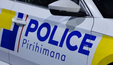 Auckland road rage: Man arrested after school bus window smashed in Mt Albert