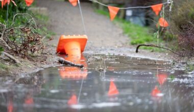 Dog falls into sinkhole on Porirua walkway; council had been told about water leak and hole