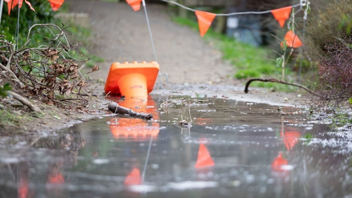 Dog falls into sinkhole on Porirua walkway; council had been told about water leak and hole
