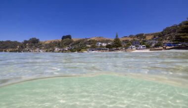 Bicheno, Tasmania: Food and wellness guide to this little-known coastal town